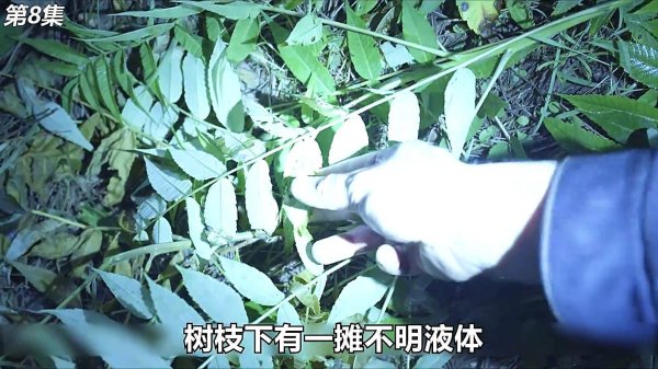 一手配资开户网 年轻人遇上小事引发绝密较量，间接“害死”人，该躺平吗？